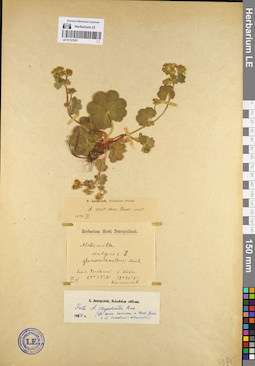 LE 01127057