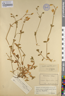 LE 01105680
