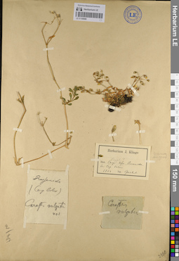 LE 01105688