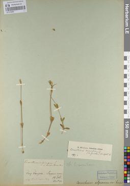 LE 01105693