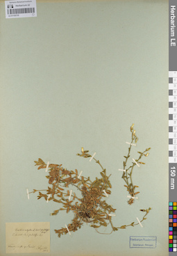 LE 01105735