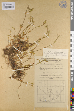 LE 01105756