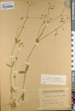 LE 01105761