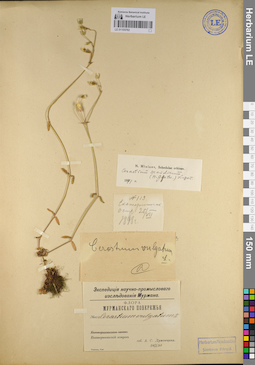 LE 01105762