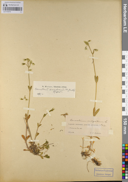LE 01105770
