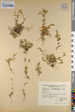 LE 01105779
