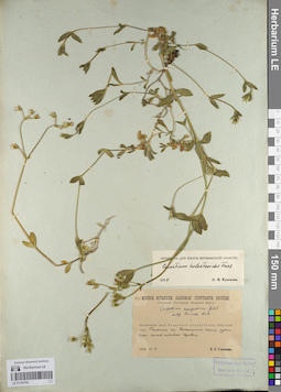LE 01105782