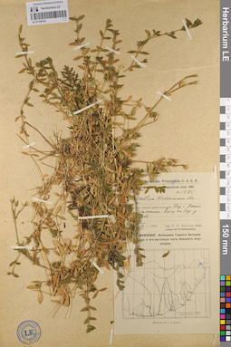 LE 01105793