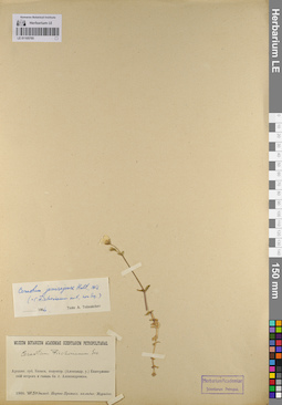LE 01105795