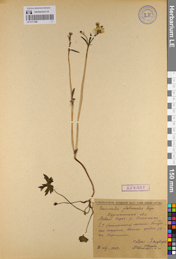 LE 01111588