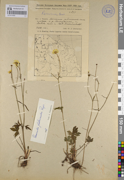 LE 01111618