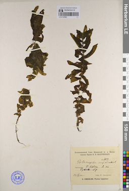 LE 01127802