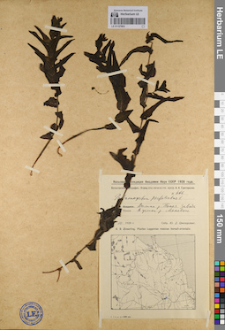 LE 01127803