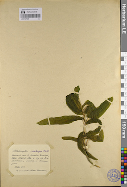 LE 01127820