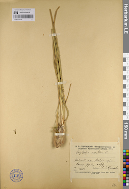 LE 01127876