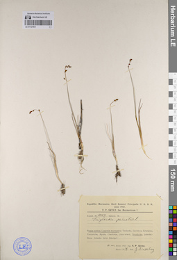 LE 01127931