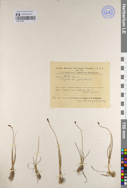 LE 01127940