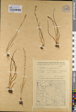 LE 01127947