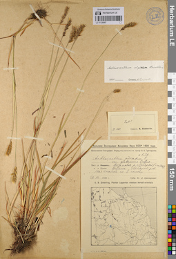 LE 01128087