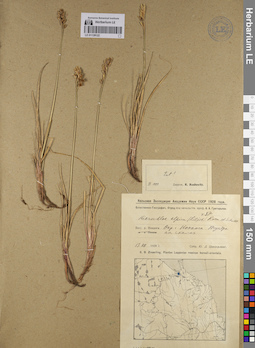 LE 01128122