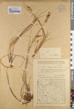LE 01128123