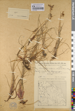 LE 01128129