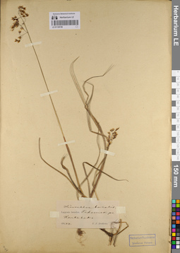LE 01128156
