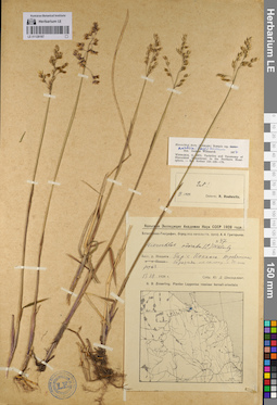 LE 01128167
