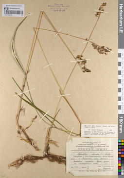 LE 01128170