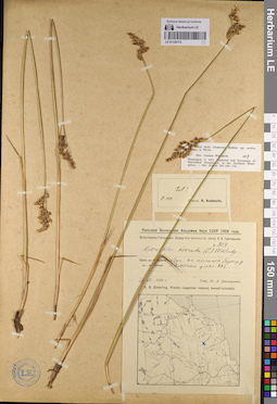 LE 01128172