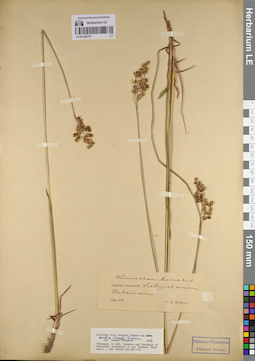 LE 01128175