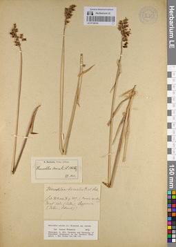 LE 01128193