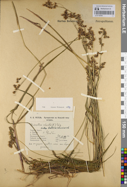 LE 01128194