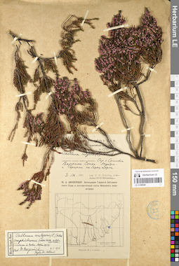 LE 01098540