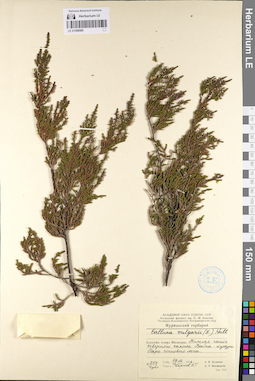 LE 01098580