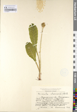 LE 01098703