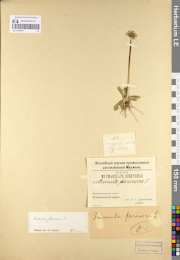 LE 01098706