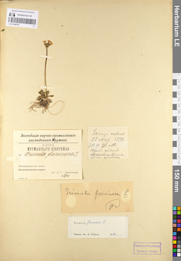 LE 01098707