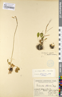 LE 01098726