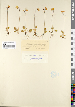 LE 01098731