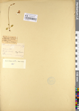 LE 01098734