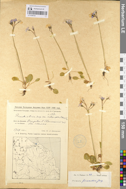 LE 01098739