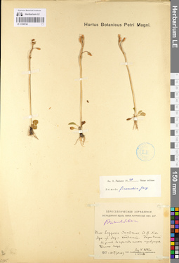 LE 01098740
