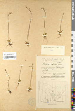 LE 01098770