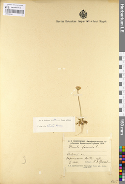 LE 01098785