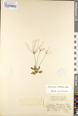 LE 01098795
