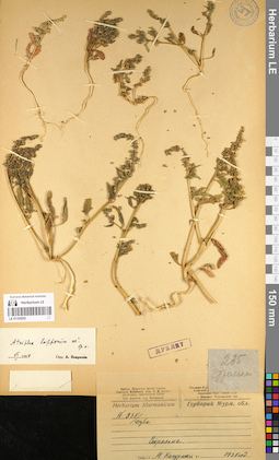 LE 01105552