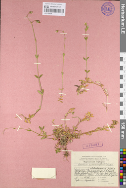 LE 01105576