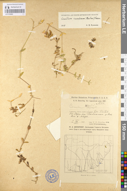 LE 01105593