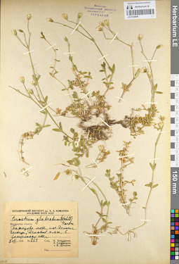 LE 01105600